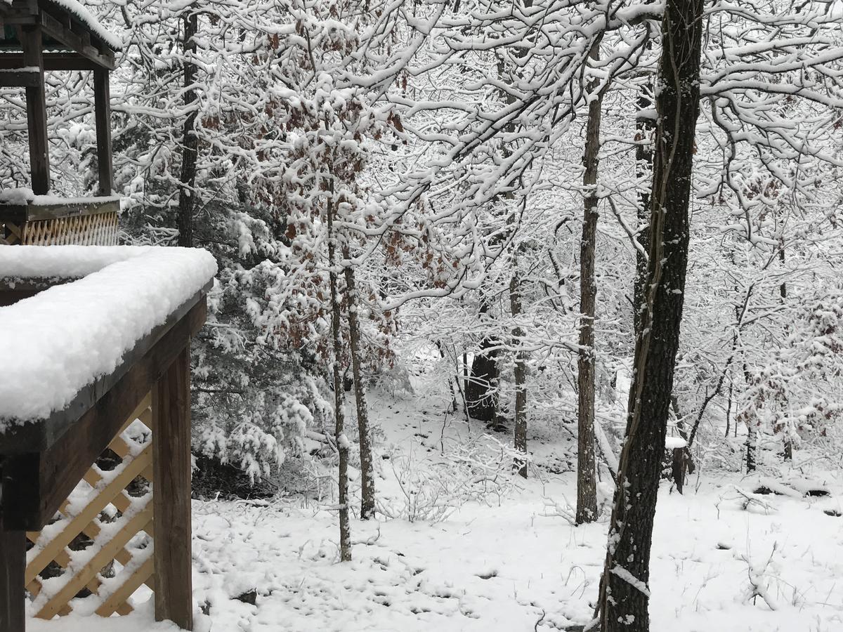 Norfork Lake Ozark Mountain Lodge Gamaliel 外观 照片